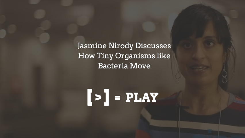 2014年SIAM生命科学会议：微小生物（如细菌）如何移动