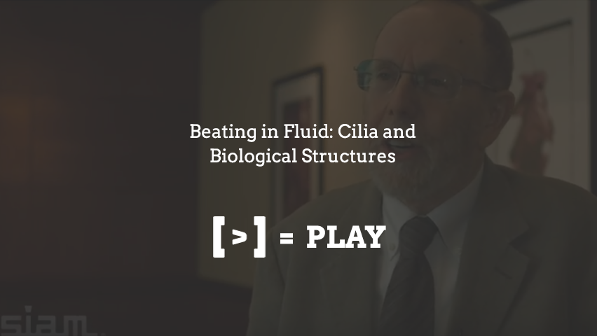 SIAM Annual Meeting: Beating in Fluid: Cilia and Biological Structures